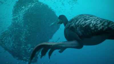 Large, powerful feet propel it
with great agility. - Prehistoric Planet