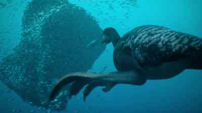 Large, powerful feet propel it
with great agility. - Prehistoric Planet