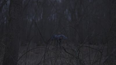 Larry Hall, he comes across as being very ordinary, - Very Scary People