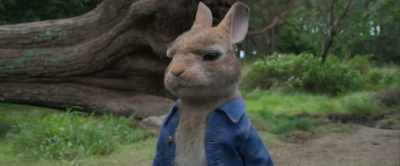 Laser-focused - Peter Rabbit