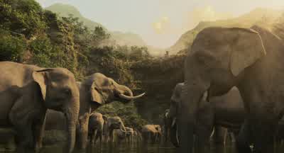 Last call for cargo! - Dumbo