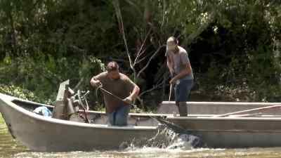 Last gator right here, Willie. - Swamp People