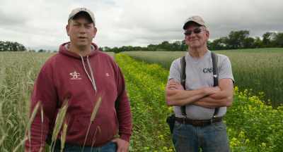Last probably six, seven years,
we've been farming - The Pollinators