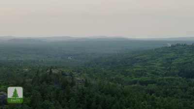 Last week, I watched
"Austin Powers" - Ambient Swim