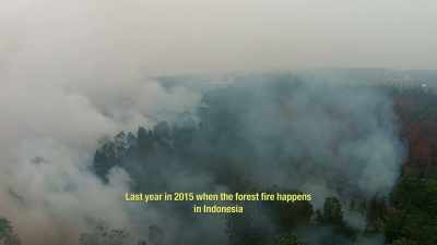 LAST YEAR IN 2015 WHEN
THE FOREST FIRE HAPPENS IN - Before the Flood