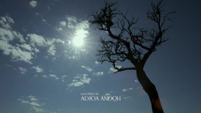 Late September in Samburu, Northern Kenya. - Chasing the Rains