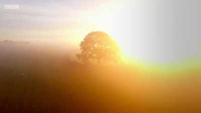Late spring. - Wales: Land of the Wild