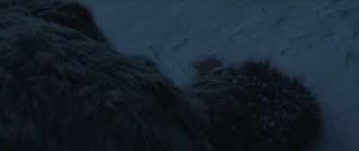 Later, a mummified body - Amundsen