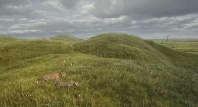 Later that day, - Mufasa: The Lion King