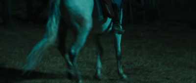 Later, when... the Comanches came, I... - Django