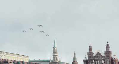 Latvian cubs... - The Death of Stalin
