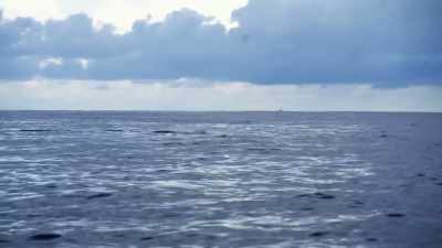 [laughing] - Deadliest Catch: Bloodline
