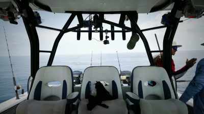 [laughing] - Deadliest Catch: Bloodline