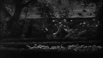 (laughing) - Wuthering Heights