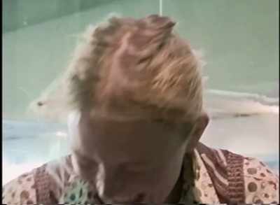 (laughing) - Phoenix Forgotten