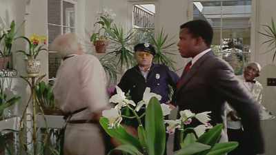 (laughs) Heard all
through the neighborhood. - The Sit-In: Harry Belafonte Hosts The Tonight Show