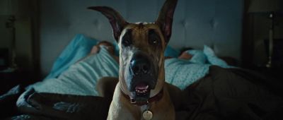 LAUGHS It never gets old - Marmaduke