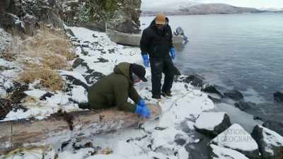 (laughs) - Life Below Zero: First Alaskans