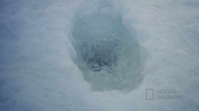 (laughs) - Life Below Zero: First Alaskans