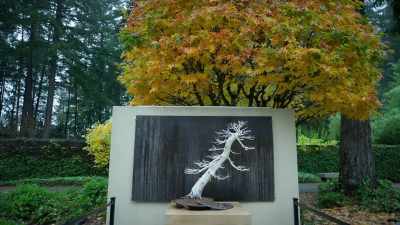 (laughs) - Trees and Other Entanglements