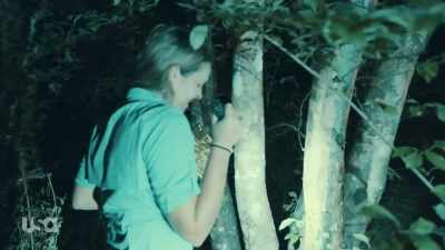 [laughs] - Snake in the Grass