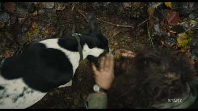 [LAUGHS] - The Truffle Hunters