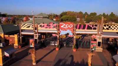 (laughs) - Secrets of the Zoo
