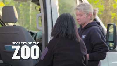 (laughs) - Secrets of the Zoo