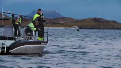 (LAUGHS) - Blue Planet II