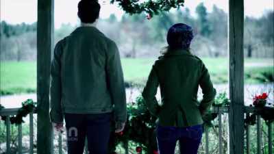 [laughs] - The Spruces and the Pines