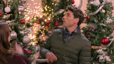 [laughs] - A Brush with Christmas