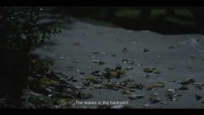(LAUGHTER ON TV) - I'll Be Gone in the Dark