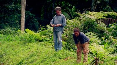 LAUGHTER - Top Gear