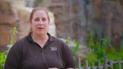 Laura: It's always good
to know that, even a limp, - Secrets of the Zoo