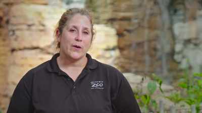Laura: Moving forward,
we're gonna just continue - Secrets of the Zoo