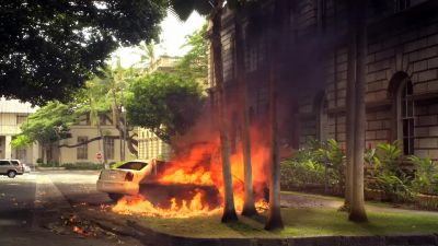 Laura! - Hawaii Five-0