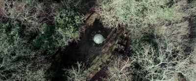 Laura,
the garden is private land, - Daddy's Head