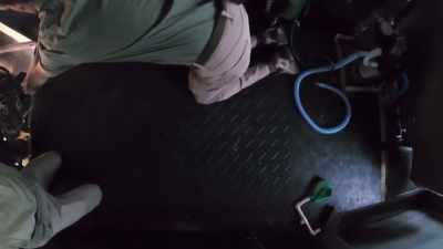 Laura: These next five minutes, - Secrets of the Zoo