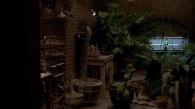 LAVEAU:
That damn buttermilk biscuit. - American Horror Story