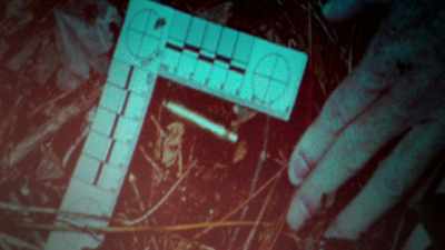 Law enforcement found a
fired 223 cartridge case. - First Blood