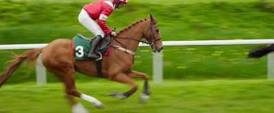 Leading now is Operation
Houdini, in the yellow and black. - Dream Horse