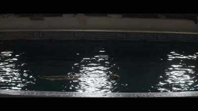 Learn to kick your feet,
and you'll never leave the pool again. - Young Woman and the Sea