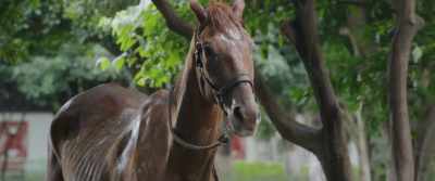 Learn some about your world, - Ride On