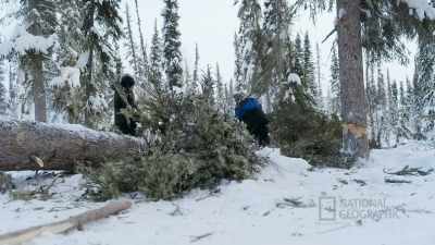 Learning their capabilities
and their limits, - Life Below Zero: First Alaskans