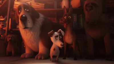 Leave your action radius quickly, otherwise it will end very badly. - The Queen's Corgi