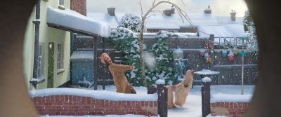Leave that alone, you wretched dog! Oh! - That Christmas
