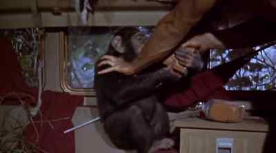 Leave bottle, Cheta. Not good. - Tarzan and the Lost Safari