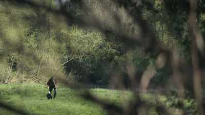 Leave. Good girl.
There, there we go. - The Hunt for Raoul Moat