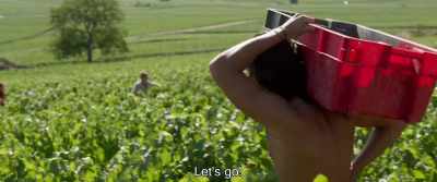 Leave the carriers,
we're using bins today. - Back to Burgundy