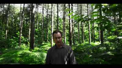 (leaves crunching) - The Third Day